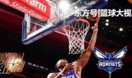 黄蜂爆料乔丹视频大全最新,乔丹视频大全揭秘篮球传奇背后的故事